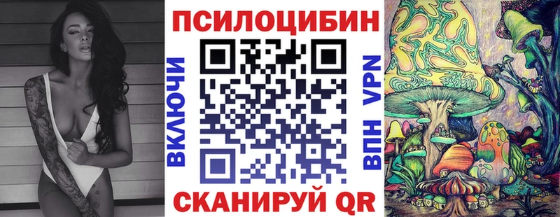 Псилоцибиновые грибы Psilocybine cubensis Можайск